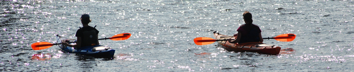 Banner image: kayakers