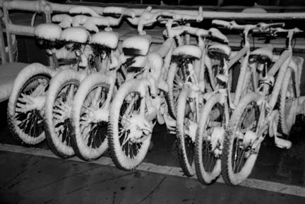 bikes on deck