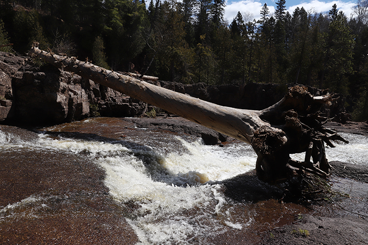Gooseberry Falls