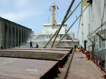 Grain spouts over hatch