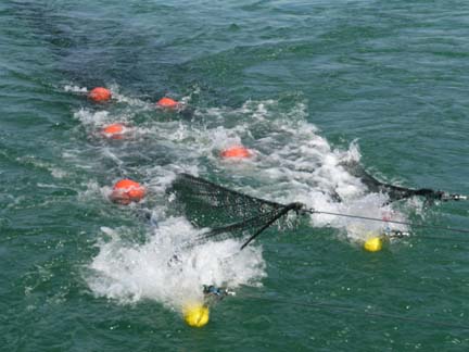 Retrieving trawl net on Kiyi