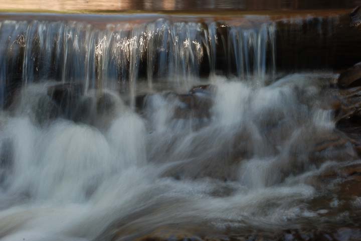 Log terrace in stream