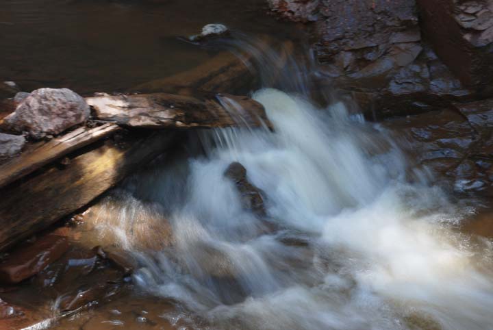 Log terrace in stream