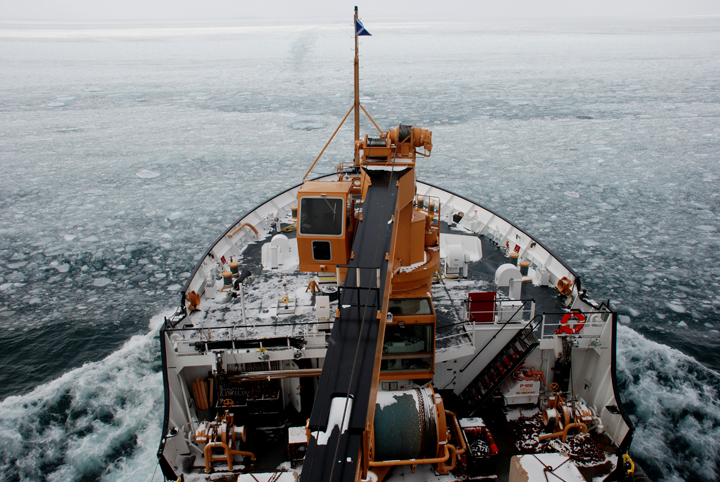 USCG vessel <em>Alder</em> in ice