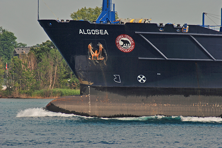 Algosea